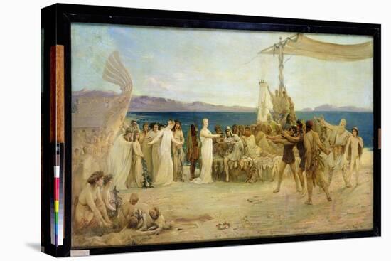 Stretched Canvas Print, , large