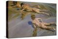 Stretched Canvas Print