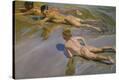Stretched Canvas Print