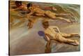 Stretched Canvas Print