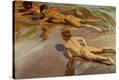 Stretched Canvas Print