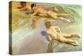 Stretched Canvas Print