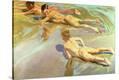 Stretched Canvas Print