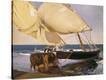 Stretched Canvas Print