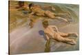Stretched Canvas Print
