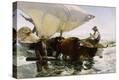 Stretched Canvas Print