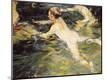 Premium Giclee Print