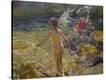 Stretched Canvas Print