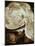 Job and the Whirlwind-William Blake-Mounted Giclee Print