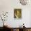 Job-Alphonse Mucha-Mounted Giclee Print displayed on a wall