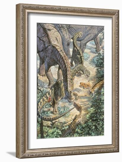 Jobaria Sauropods and Afroventor Raptors of the Mid-Cretaceous Period-null-Framed Art Print