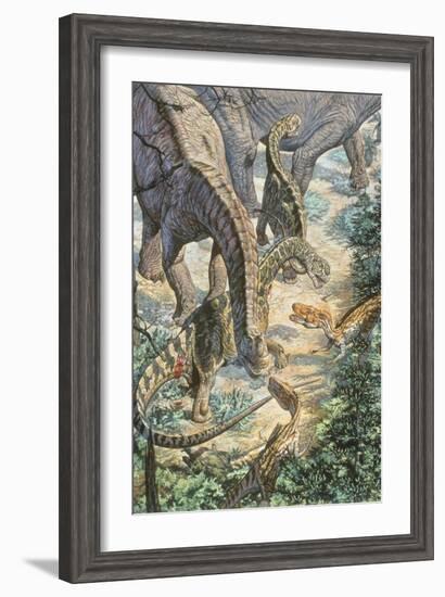 Jobaria Sauropods and Afroventor Raptors of the Mid-Cretaceous Period-null-Framed Art Print