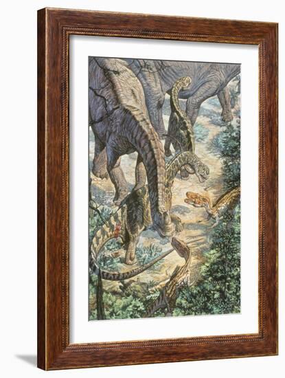 Jobaria Sauropods and Afroventor Raptors of the Mid-Cretaceous Period-null-Framed Art Print