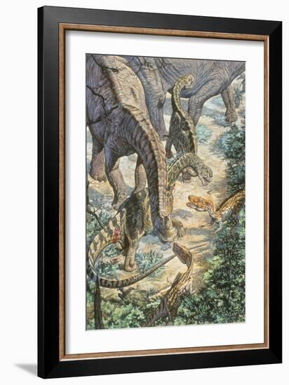 Jobaria Sauropods and Afroventor Raptors of the Mid-Cretaceous Period-null-Framed Art Print