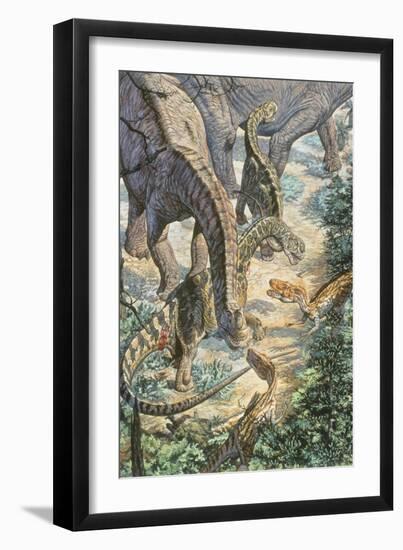 Jobaria Sauropods and Afroventor Raptors of the Mid-Cretaceous Period-null-Framed Art Print