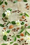 Orange and Almond Blossom, Coffee Beans and Almonds-Jocelyn Demeurs-Framed Premier Image Canvas