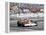 Jochen Mass Racing a Mclaren-Cosworth M23, Spanish Grand Prix, Jarama, Spain, 1977-null-Framed Premier Image Canvas