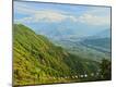 Premium Photographic Print