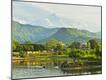 Premium Photographic Print