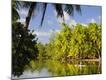 Photographic Print