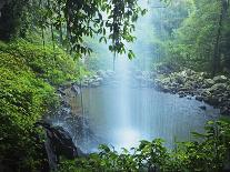 Crystal Shower Falls, Dorrigo National Park, New South Wales, Australia, Pacific-Jochen Schlenker-Photographic Print