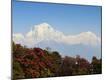 Premium Photographic Print