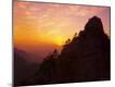 Premium Photographic Print
