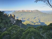 Stream and Tree Ferns, Mount Field National Park, UNESCO World Heritage Site, Tasmania, Australia-Jochen Schlenker-Photographic Print