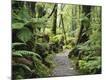 Photographic Print