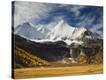 Stretched Canvas Print