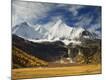 Photographic Print