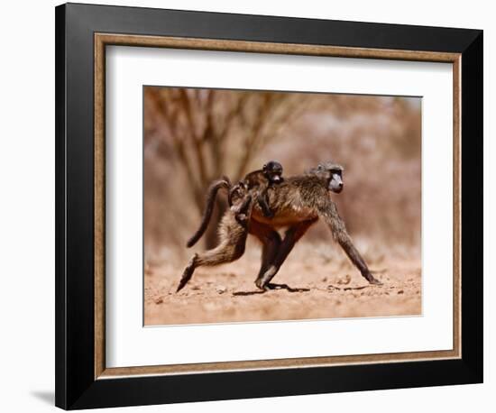 Jockey, 2019,-Eric Meyer-Framed Photographic Print