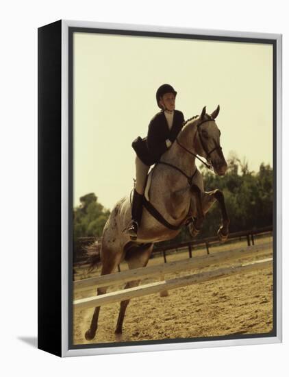 Jockey And a Horse Jumping Over a Hurdle-null-Framed Premier Image Canvas