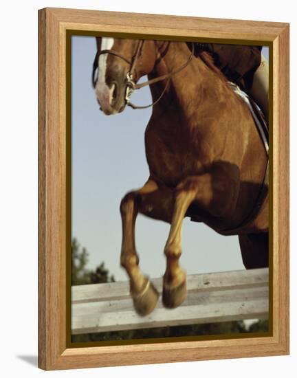 Jockey And a Horse Jumping Over a Hurdle-null-Framed Premier Image Canvas