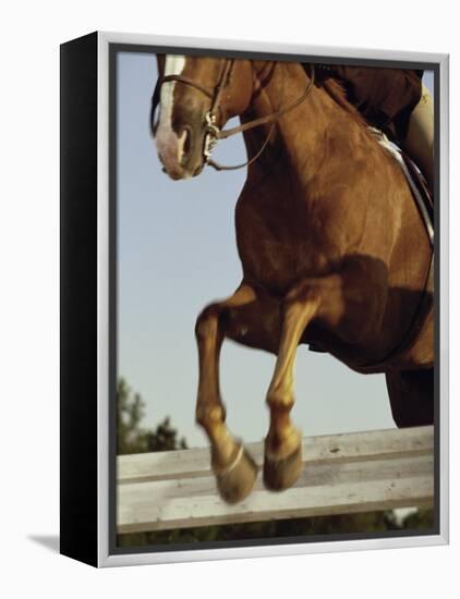 Jockey And a Horse Jumping Over a Hurdle-null-Framed Premier Image Canvas