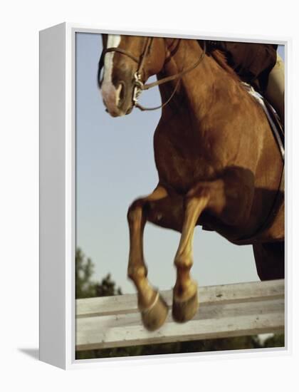 Jockey And a Horse Jumping Over a Hurdle-null-Framed Premier Image Canvas