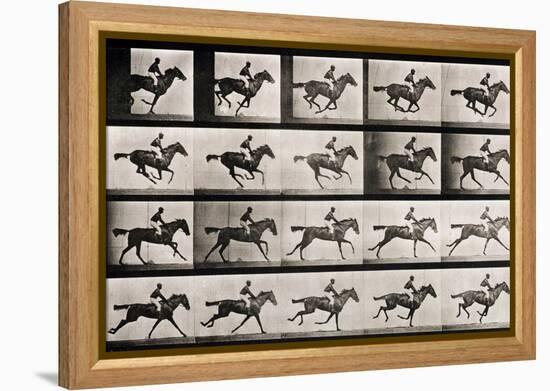 Jockey on a Galloping Horse, Plate 627 from "Animal Locomotion," 1887-Eadweard Muybridge-Framed Premier Image Canvas