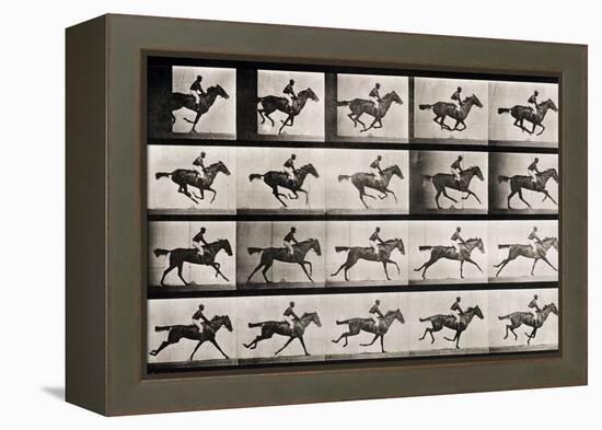 Jockey on a Galloping Horse, Plate 627 from "Animal Locomotion," 1887-Eadweard Muybridge-Framed Premier Image Canvas