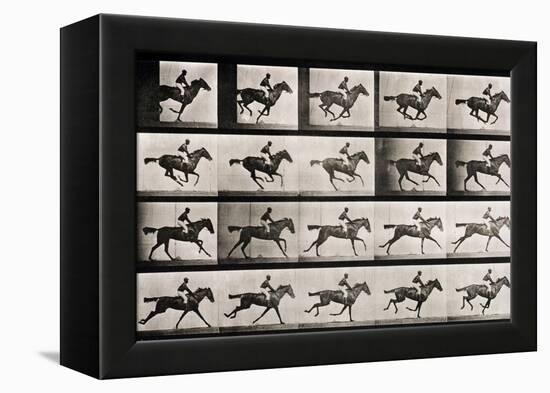 Jockey on a Galloping Horse, Plate 627 from "Animal Locomotion," 1887-Eadweard Muybridge-Framed Premier Image Canvas