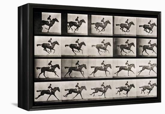 Jockey on a Galloping Horse, Plate 627 from "Animal Locomotion," 1887-Eadweard Muybridge-Framed Premier Image Canvas