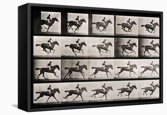 Jockey on a Galloping Horse, Plate 627 from "Animal Locomotion," 1887-Eadweard Muybridge-Framed Premier Image Canvas