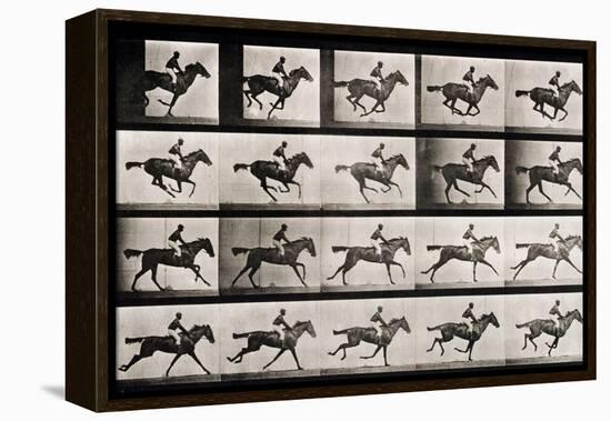 Jockey on a Galloping Horse, Plate 627 from "Animal Locomotion," 1887-Eadweard Muybridge-Framed Premier Image Canvas