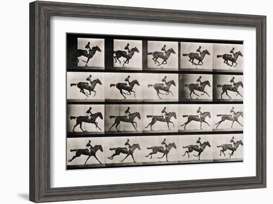 Jockey on a Galloping Horse, Plate 627 from "Animal Locomotion," 1887-Eadweard Muybridge-Framed Giclee Print