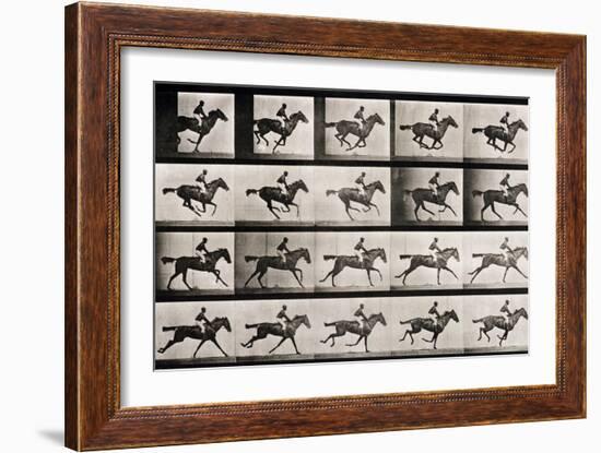 Jockey on a Galloping Horse, Plate 627 from "Animal Locomotion," 1887-Eadweard Muybridge-Framed Giclee Print