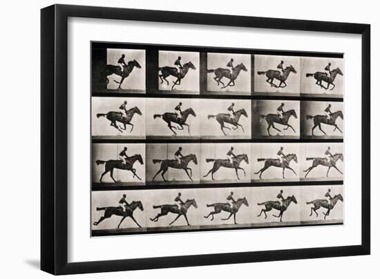 Jockey on a Galloping Horse, Plate 627 from "Animal Locomotion," 1887-Eadweard Muybridge-Framed Giclee Print