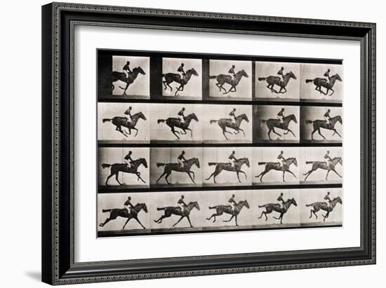 Jockey on a Galloping Horse, Plate 627 from "Animal Locomotion," 1887-Eadweard Muybridge-Framed Giclee Print