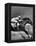 Jockey Willie Shoemaker Racing "Our John William"-Michael Rougier-Framed Premier Image Canvas