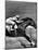 Jockey Willie Shoemaker Racing "Our John William"-Michael Rougier-Mounted Premium Photographic Print