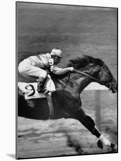 Jockey Willie Shoemaker Racing "Our John William"-Michael Rougier-Mounted Premium Photographic Print