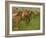 Jockeys, 1886-90-Edgar Degas-Framed Giclee Print